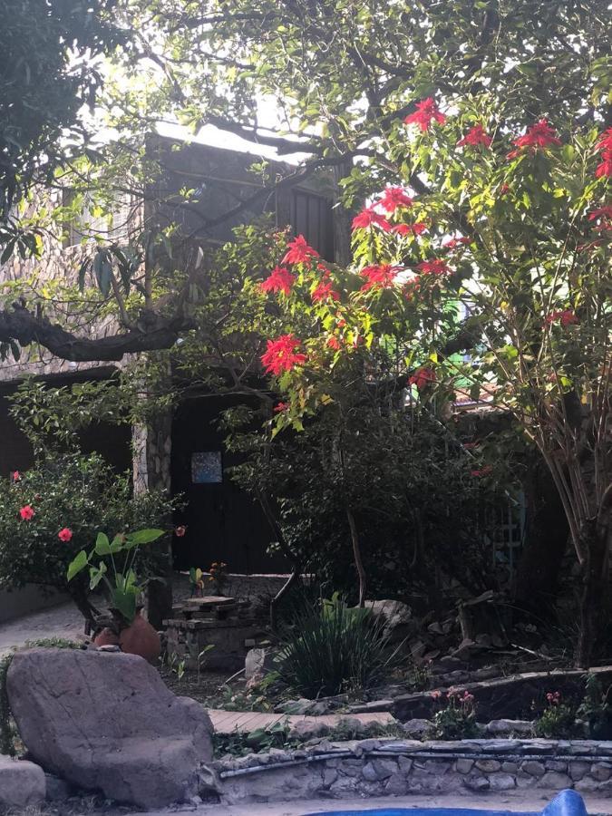 La Casa De Los Mangos Ajijic San Antonio Tlayacapan Exterior photo